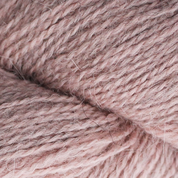 Alpaca 2 - Nm 10/2-19