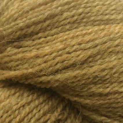 Alpaca 2 - Nm 10/2-21
